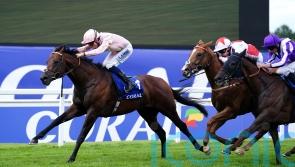 Cicero&rsquo;s Gift lands Sandown Fortune for Charlie Hills