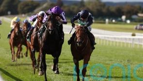 Zavateri team full of hope heading into Dewhurst showdown