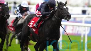 Puerto Rico swoops for second Group One triumph