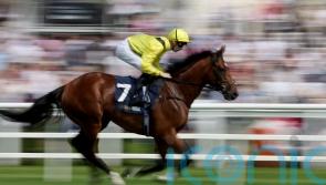 McDonald booked for Meydaan Melbourne Cup ride