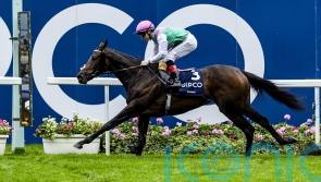 Champions Day victor Kalpana back for more next season