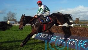 Firefox the headline act in Elliott’s Down Royal treble