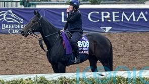 Khaadem heading for Hong Kong run