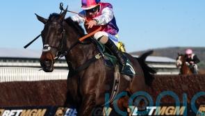 Haiti Couleurs delights with Newbury comeback win