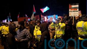 Aston Villa-Maccabi Tel Aviv protests: Police arrest 11 in Villa Park area