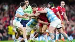 Wales fall to heavy Argentina defeat in Steve Tandy’s first match as head coach
