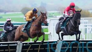 Johnson adapting to chasing winners as syndicate head