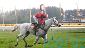 Grey Dawning imperious in Betfair Chase victory