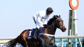 Constitution Hill part of must-see Fighting Fifth line-up