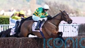 Cromwell taking the positives from Gold Cup hero’s return