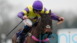 Kempton at Christmas could be calling for Nemean Lion