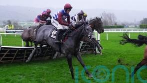 Nicholls believes Winter role is made for Drama