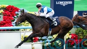 Sosie sparkles with Hong Kong Vase victory