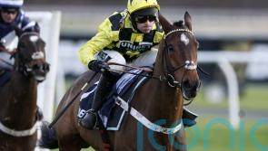 Super-sub Sir Gino ready to play leading role once again