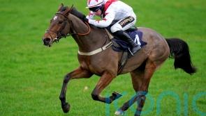 Git Maker bringing plenty of class to Chepstow challenge