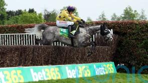Temps team to take patient approach after Ascot fall