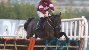 Brighterdaysahead to captain Elliott&rsquo;s Leopardstown team