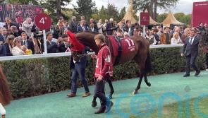 Prix Ganay target for Arc hero Daryz