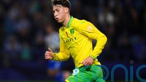 Norwich cruise to comfortable victory at struggling West Brom