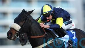 Wendigo given Ayr option next week