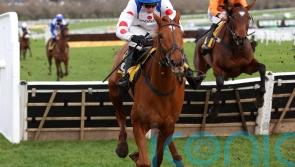 Maestro Conti passes Triumph Trial examination