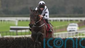 Wet weather sees Irish Arkle coming into focus for Romeo Coolio