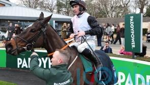 Skylight Hustle team keeping close eye on Leopardstown
