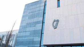 Man convicted for breaching wildlife act at his home in Limerick City