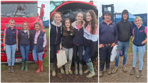And that's a wrap! 20 photos from the final day of the National Ploughing Championships