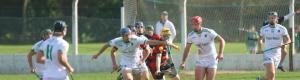 Ballybrown edge out Adare in physical Limerick senior hurling championship quarter final