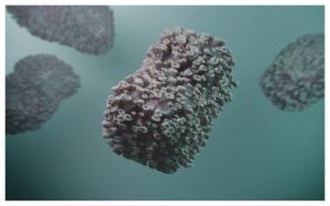 What is the Mpox virus as HSE confirms cluster of more serious strain detected in Ireland