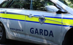 Men armed with gun and and slash hooks storm house in Limerick town
