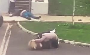 'Ugly scenes' of man motionless on the ground and women fighting in Limerick village go viral