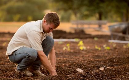Young farmers group wants extra €310m on top of multi-billion euro CAP budget
