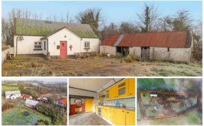 Rustic country cottage with Room to Improve potential and big surprise could go for €120k