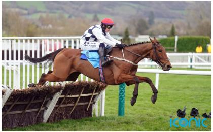 All eyes on Willie Mullins' brilliant Blackburn at Punchestown