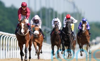 Lion Of War steps up for Superlative challenge