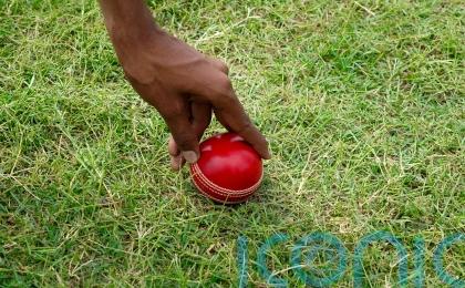 Minister demands action after ‘shocking’ report into racism in Scottish cricket