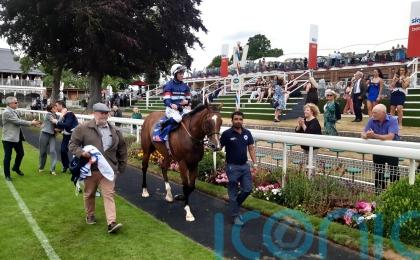Sir Busker ready to take on International big guns