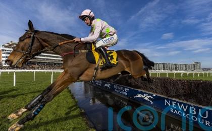 Ricci rules Royale Pagaille out of Betfair Chase