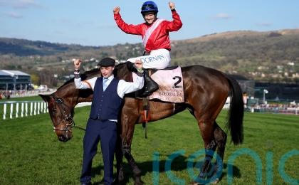 ‘No pressure’ to run A Plus Tard if not spot on for Leopardstown