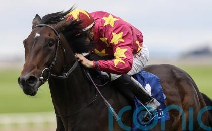 O’Brien pointing to Irish Guineas with Al Riffa