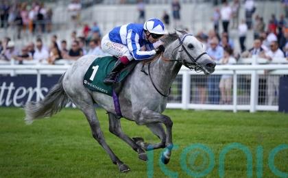 Art Power to make speedy reappearance in Sapphire heat