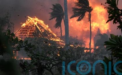 Devastating wildfires in Hawaii leave at least 36 people dead