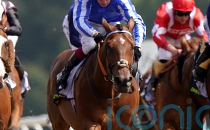 Cheshire sights set on York date for Golden Rules