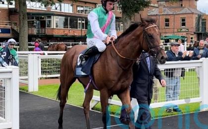 Rossa Ryan hoping Task Force can complete Group One mission