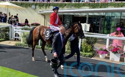 Chancellor team eyeing Royal Lodge after Champagne problems