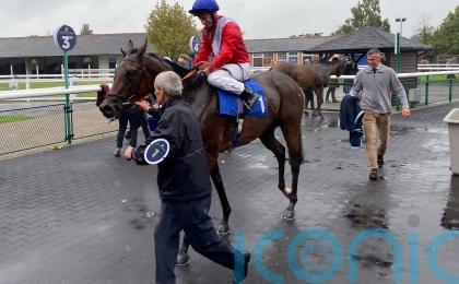 Formal seeking final Rockfel success for Stoute