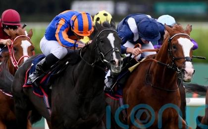 Haggas vows Ascot ground will not derail Economics challenge