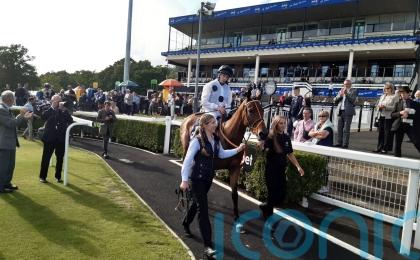 Tiffany team hoping she can sparkle at Ascot